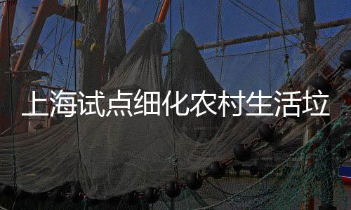 细化农村任制桶责垃圾上海试点生活
